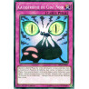 yu-gi-oh-tcg-drl2-fr037-sr-catastrophe-du-chat-noir-les-dragons-de-legende-2