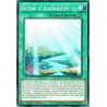 yu-gi-oh-tcg-drl2-fr042-sr-scene-d-aquarium-les-dragons-de-legende-2