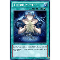 yu-gi-oh-tcg-drlg-fr013-se-tresor-protege-les-dragons-de-legende