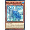 yu-gi-oh-tcg-duea-fr030-sr-bixi-eau-du-yang-zing-l-alliance-des-duellistes