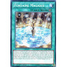 yu-gi-oh-tcg-duea-fr065-se-fontaine-magique-l-alliance-des-duellistes