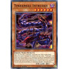 yu-gi-oh-tcg-exfo-en013-c-tindangle-intruder-extreme-force
