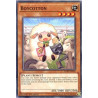 yu-gi-oh-tcg-flod-en035-c-boycotton-flames-of-destruction