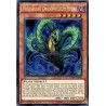 yu-gi-oh-tcg-fuen-fr001-se-predaplant-drosophyllum-hydra-fusion-enforcers