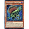 yu-gi-oh-tcg-fuen-fr003-se-predaplant-spinodionaea-fusion-enforcers