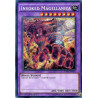 yu-gi-oh-tcg-fuen-fr030-se-invoked-magellanica-fusion-enforcers