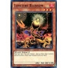 yu-gi-oh-tcg-fuen-fr045-sr-lonefire-blossom-fusion-enforcers