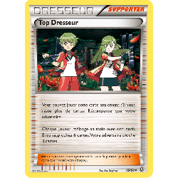 pokemon-tcg-69-100-top-dresseur-uncommon-origines-antiques-xy-aor