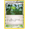 pokemon-tcg-74-100-foret-de-plantes-geantes-uncommon-origines-antiques-xy-aor