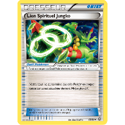 pokemon-tcg-80-100-lien-spirituel-jungko-uncommon-origines-antiques-xy-aor