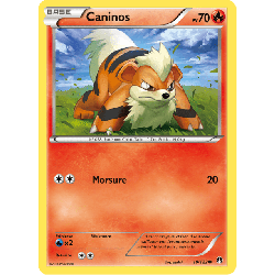pokemon-tcg-10-123-caninos-common-rupture-turbo-xy-bkp
