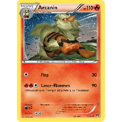 pokemon-tcg-11-123-arcanin-uncommon-rupture-turbo-xy-bkp
