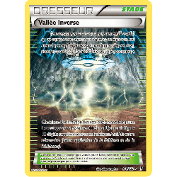 pokemon-tcg-110-123-vallee-inverse-uncommon-rupture-turbo-xy-bkp