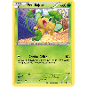 pokemon-tcg-5-164-feuillajou-common-impulsion-turbo-xy-bkt