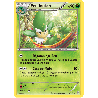 pokemon-tcg-6-164-feuiloutan-rare-impulsion-turbo-xy-bkt