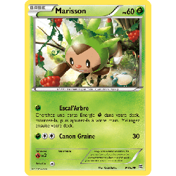 pokemon-tcg-9-164-marisson-common-impulsion-turbo-xy-bkt