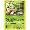pokemon-tcg-9-164-marisson-common-impulsion-turbo-xy-bkt