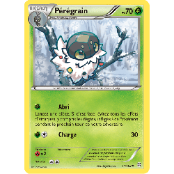 pokemon-tcg-14-164-peregrain-uncommon-impulsion-turbo-xy-bkt