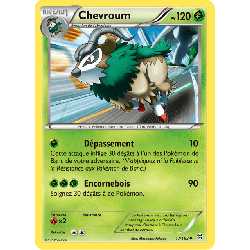 pokemon-tcg-17-164-chevroum-uncommon-impulsion-turbo-xy-bkt