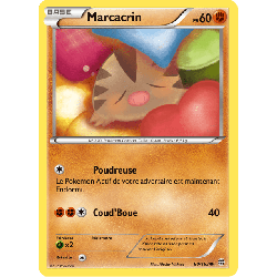 pokemon-tcg-80-164-marcacrin-common-impulsion-turbo-xy-bkt