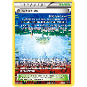 pokemon-tcg-145-164-cite-parallele-uncommon-impulsion-turbo-xy-bkt