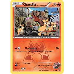pokemon-tcg-1-34-chamallot-de-la-team-magma-common-double-danger-xy-dcr