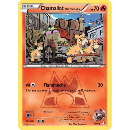 pokemon-tcg-1-34-chamallot-de-la-team-magma-common-double-danger-xy-dcr