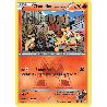 pokemon-tcg-1-34-chamallot-de-la-team-magma-common-double-danger-xy-dcr