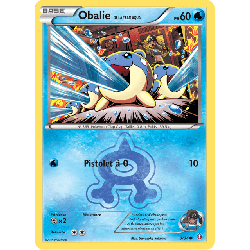 pokemon-tcg-3-34-obalie-de-la-team-aqua-common-double-danger-xy-dcr