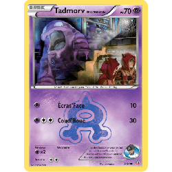 pokemon-tcg-7-34-tadmorv-de-la-team-aqua-common-double-danger-xy-dcr