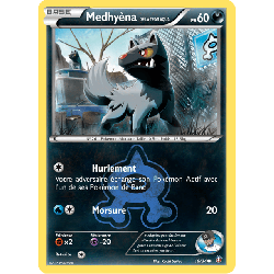 pokemon-tcg-16-34-medhyena-de-la-team-aqua-common-double-danger-xy-dcr