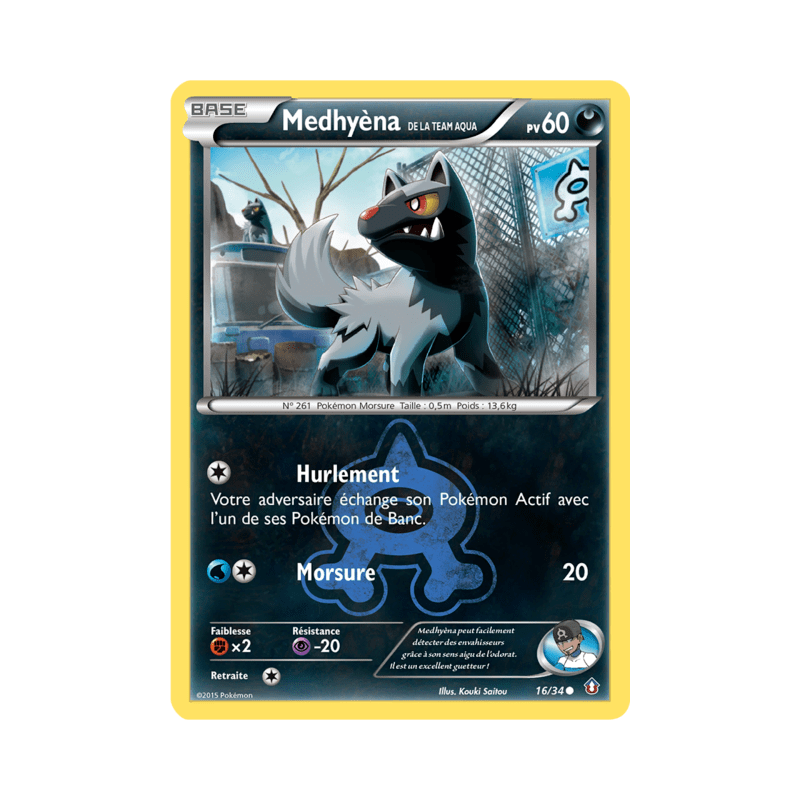 pokemon-tcg-16-34-medhyena-de-la-team-aqua-common-double-danger-xy-dcr