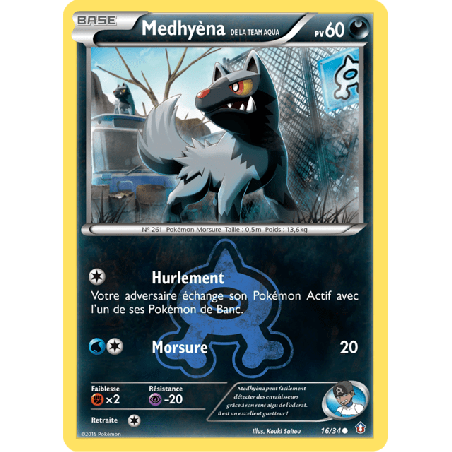 pokemon-tcg-16-34-medhyena-de-la-team-aqua-common-double-danger-xy-dcr