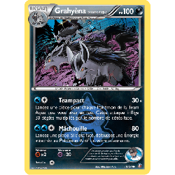 pokemon-tcg-18-34-grahyena-de-la-team-aqua-common-double-danger-xy-dcr
