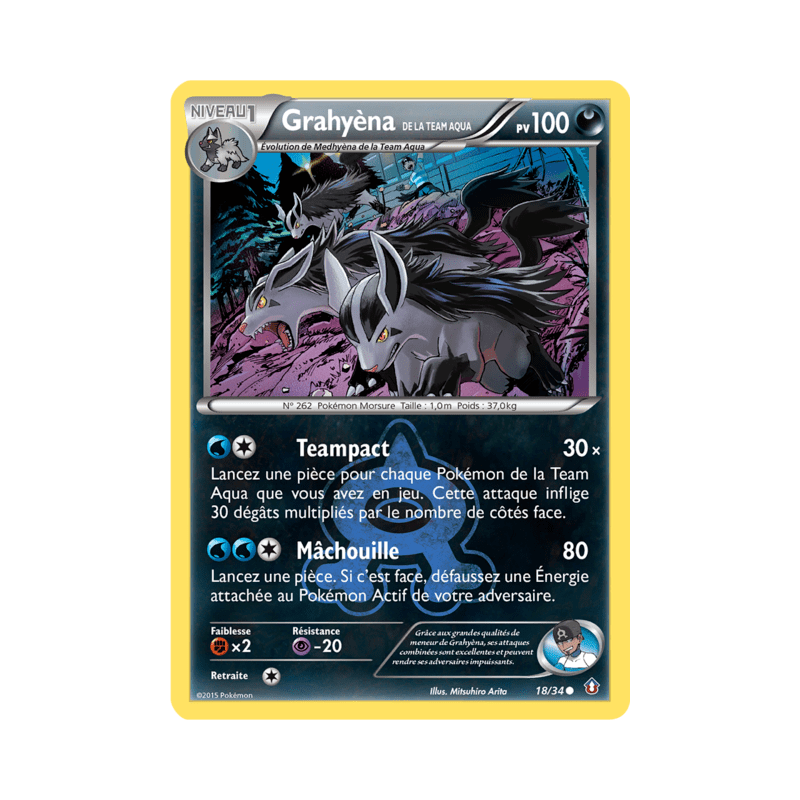 pokemon-tcg-18-34-grahyena-de-la-team-aqua-common-double-danger-xy-dcr