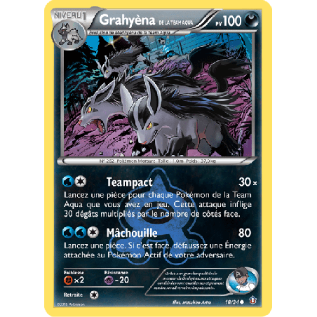 pokemon-tcg-18-34-grahyena-de-la-team-aqua-common-double-danger-xy-dcr