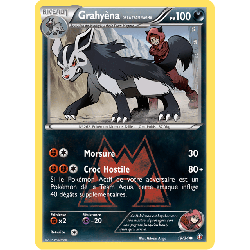 pokemon-tcg-19-34-grahyena-de-la-team-magma-common-double-danger-xy-dcr