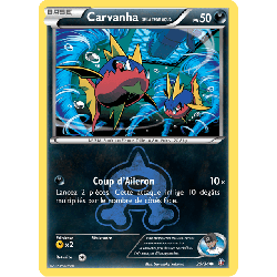 pokemon-tcg-20-34-carvanha-de-la-team-aqua-common-double-danger-xy-dcr