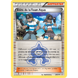 pokemon-tcg-26-34-sbire-de-la-team-aqua-uncommon-double-danger-xy-dcr