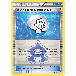 pokemon-tcg-27-34-super-ball-de-la-team-aqua-uncommon-double-danger-xy-dcr