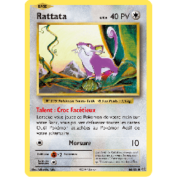 pokemon-tcg-66-113-rattata-common-evolutions-xy-evo