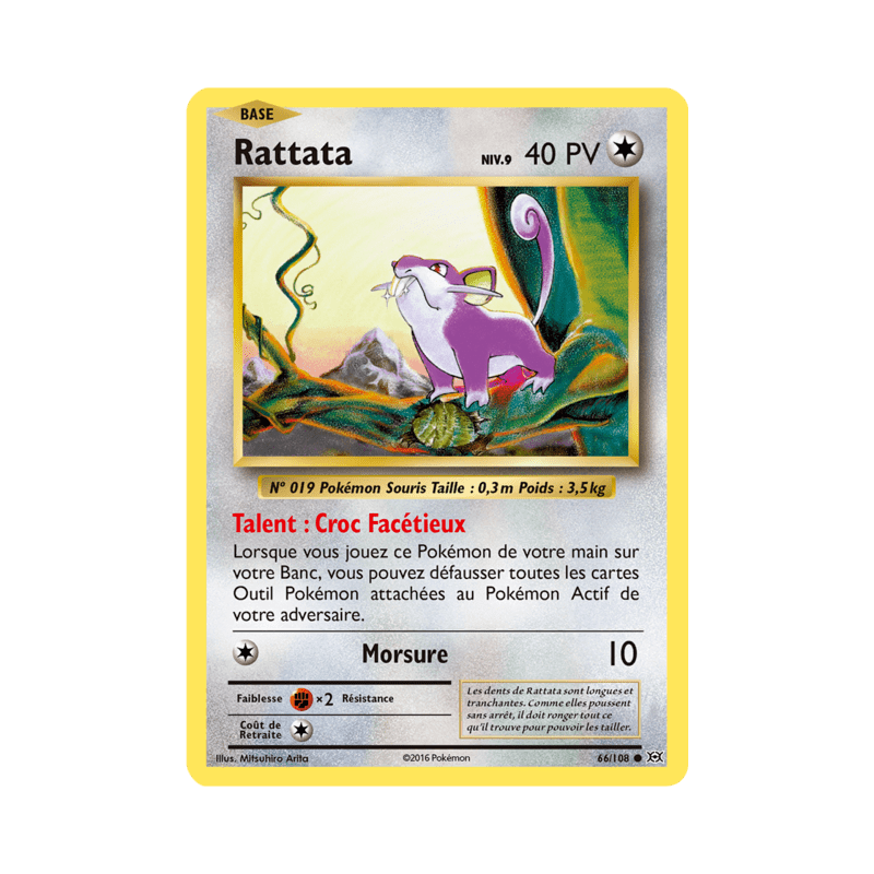 pokemon-tcg-66-113-rattata-common-evolutions-xy-evo