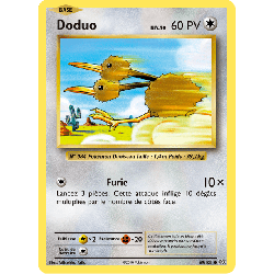 pokemon-tcg-69-113-doduo-common-evolutions-xy-evo