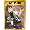 pokemon-tcg-107-113-vaillance-de-pierre-ultra-rare-evolutions-xy-evo