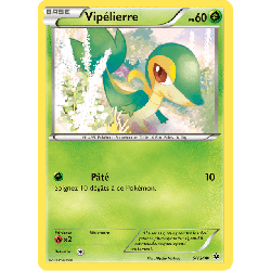 pokemon-tcg-5-125-vipelierre-common-impact-des-destins-xy-fco
