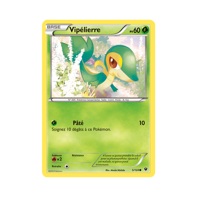 pokemon-tcg-5-125-vipelierre-common-impact-des-destins-xy-fco