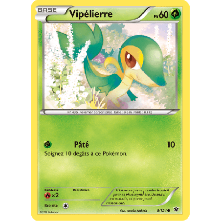 pokemon-tcg-5-125-vipelierre-common-impact-des-destins-xy-fco