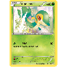 pokemon-tcg-5-125-vipelierre-common-impact-des-destins-xy-fco