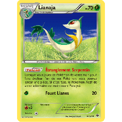 pokemon-tcg-6-125-lianaja-uncommon-impact-des-destins-xy-fco