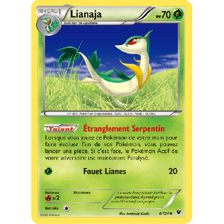 pokemon-tcg-6-125-lianaja-uncommon-impact-des-destins-xy-fco